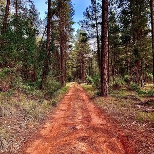 Meet your Posher, Teddy